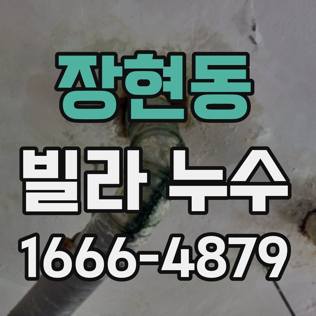 장현동 빌라 누수