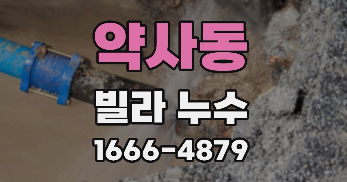 약사동 빌라 누수