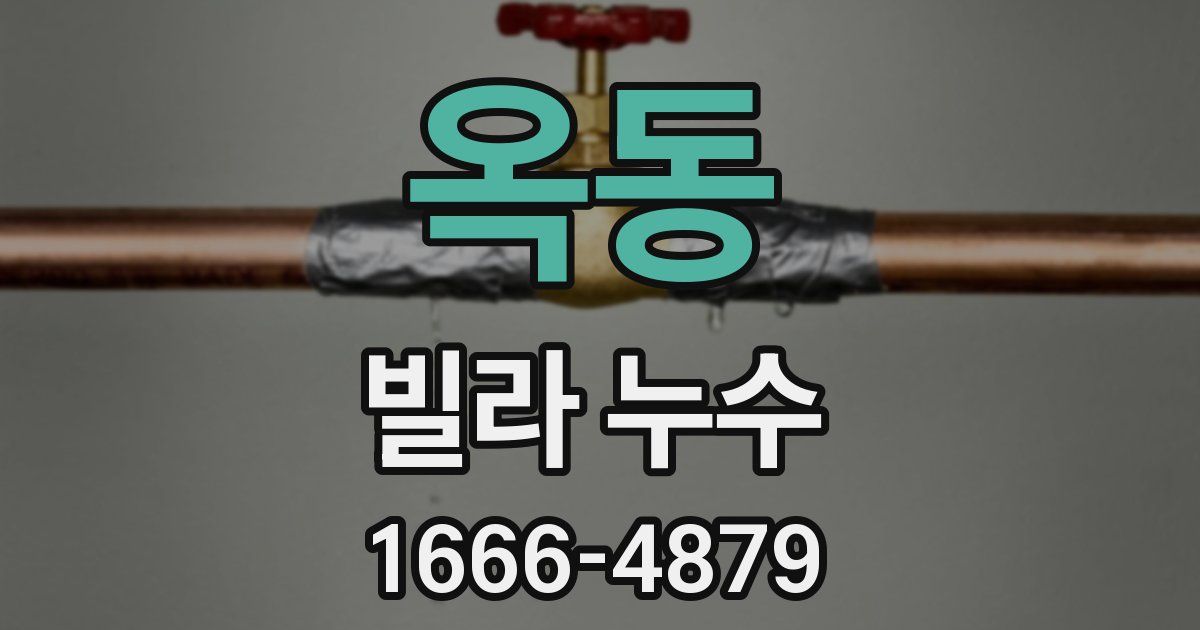 옥동 빌라 누수