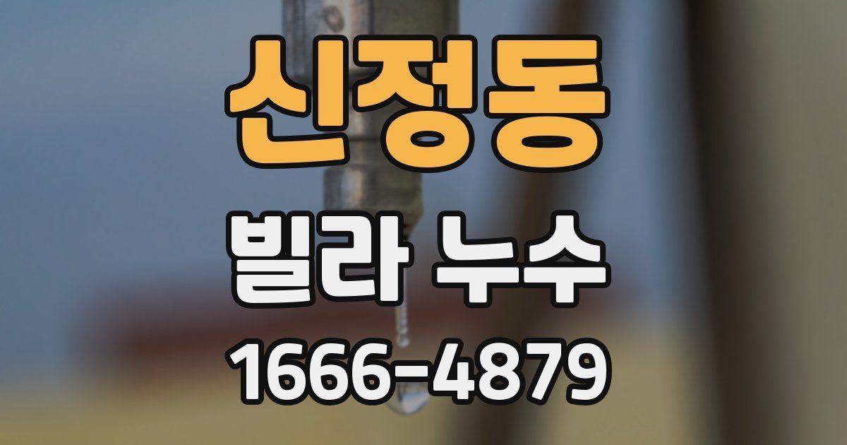 신정동 빌라 누수