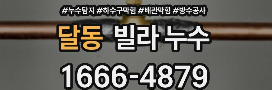 달동 빌라 누수