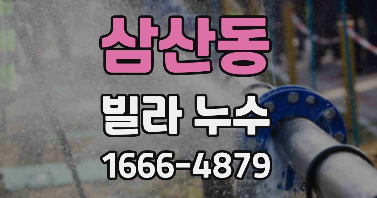 삼산동 빌라 누수