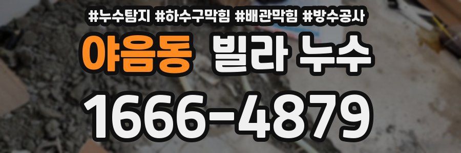 야음동 빌라 누수