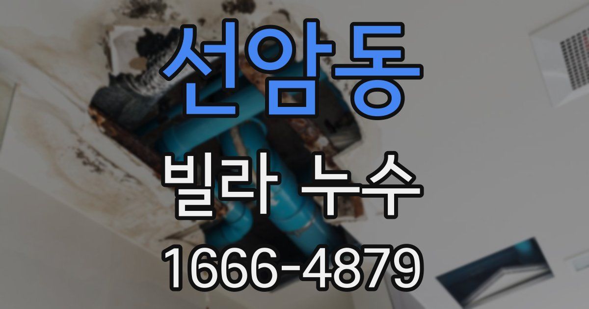 선암동 빌라 누수