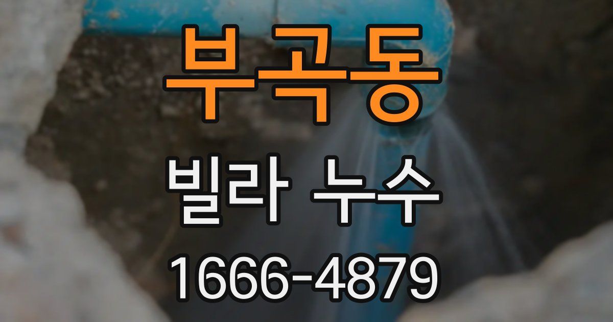 부곡동 빌라 누수