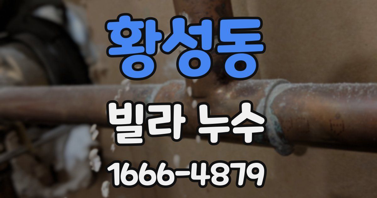 황성동 빌라 누수