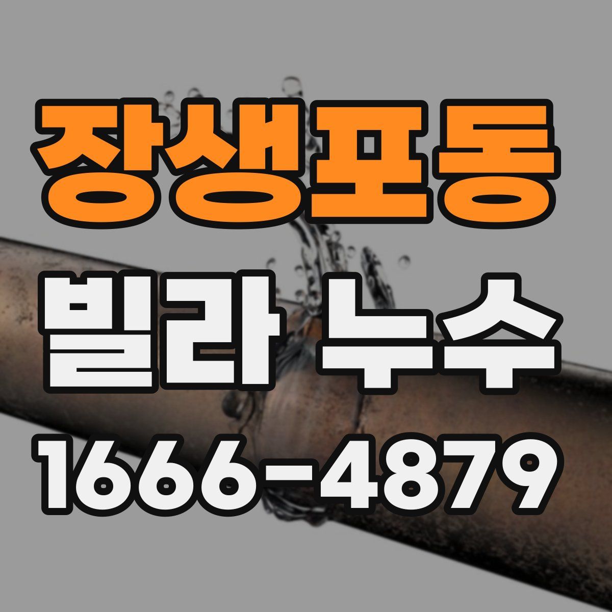 장생포동 빌라 누수