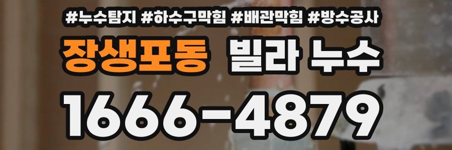 장생포동 빌라 누수