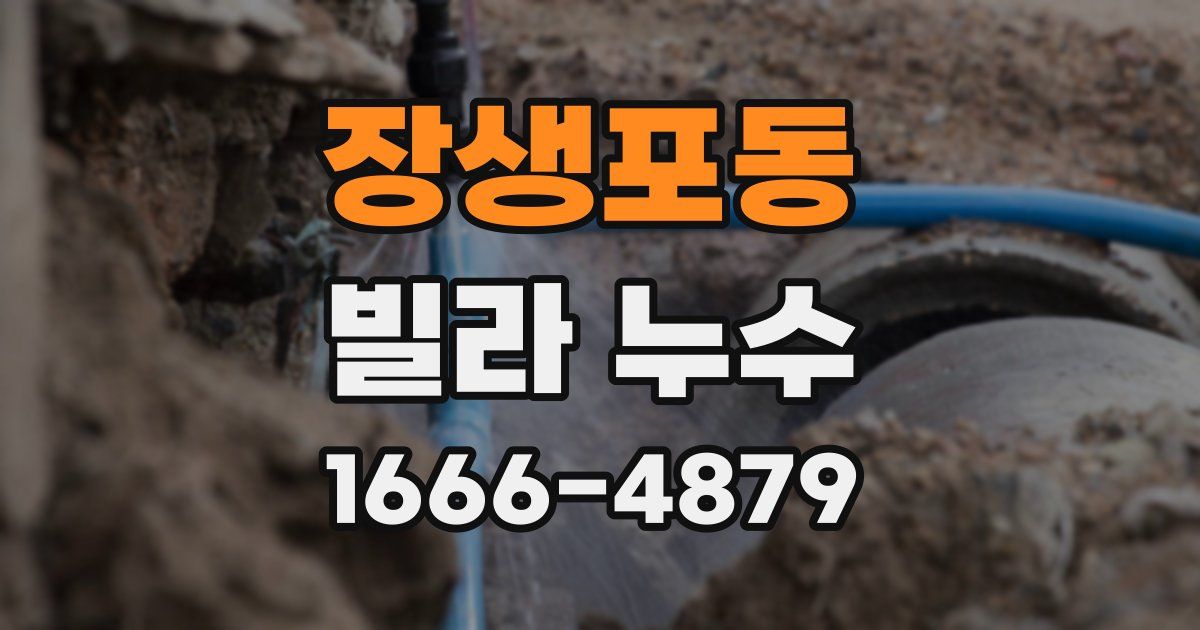 장생포동 빌라 누수