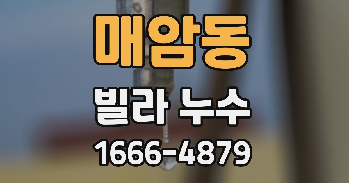 매암동 빌라 누수