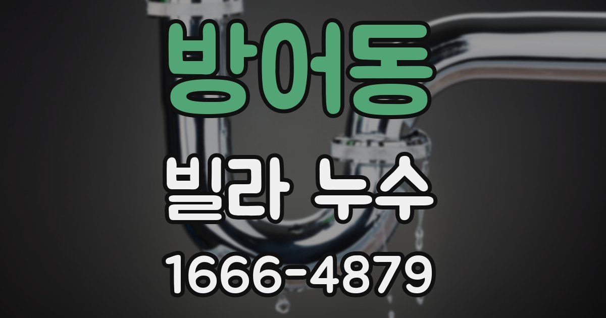 방어동 빌라 누수