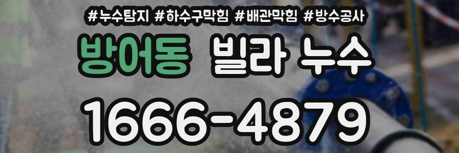 방어동 빌라 누수