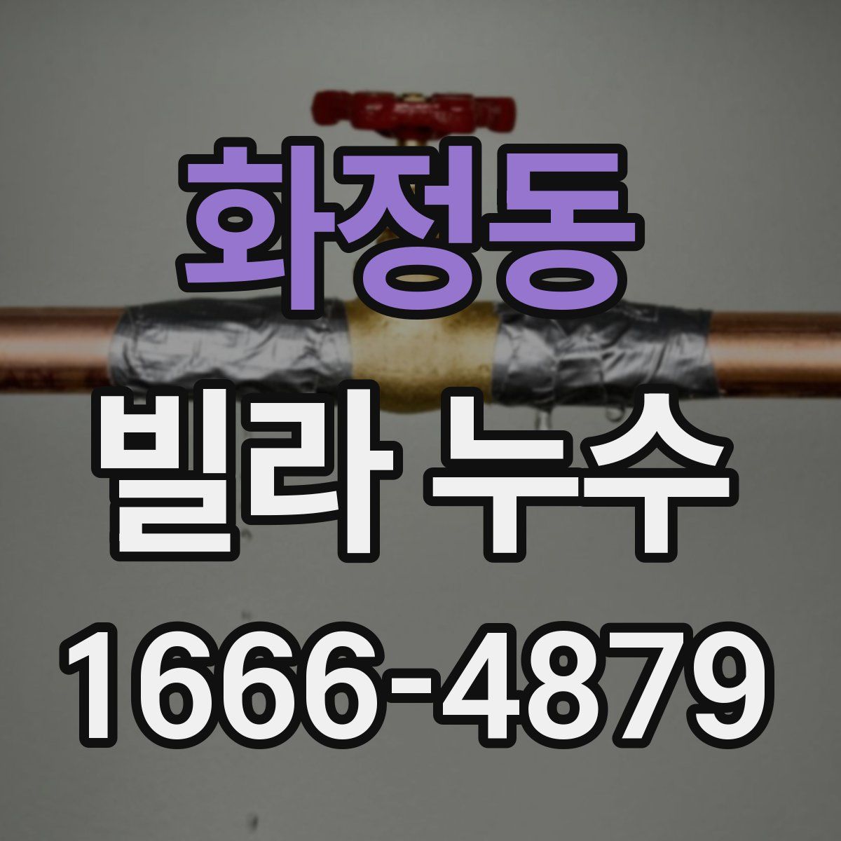 화정동 빌라 누수
