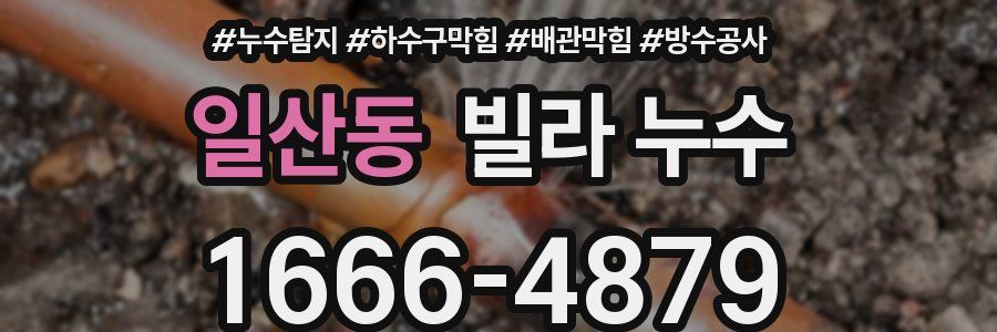 일산동 빌라 누수