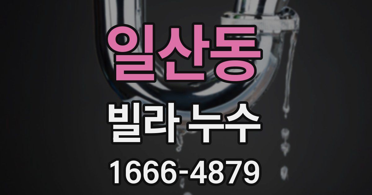 일산동 빌라 누수