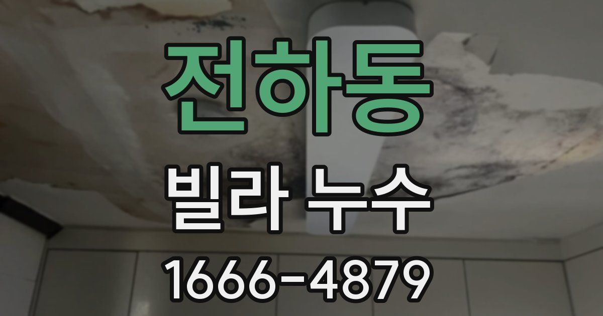 전하동 빌라 누수