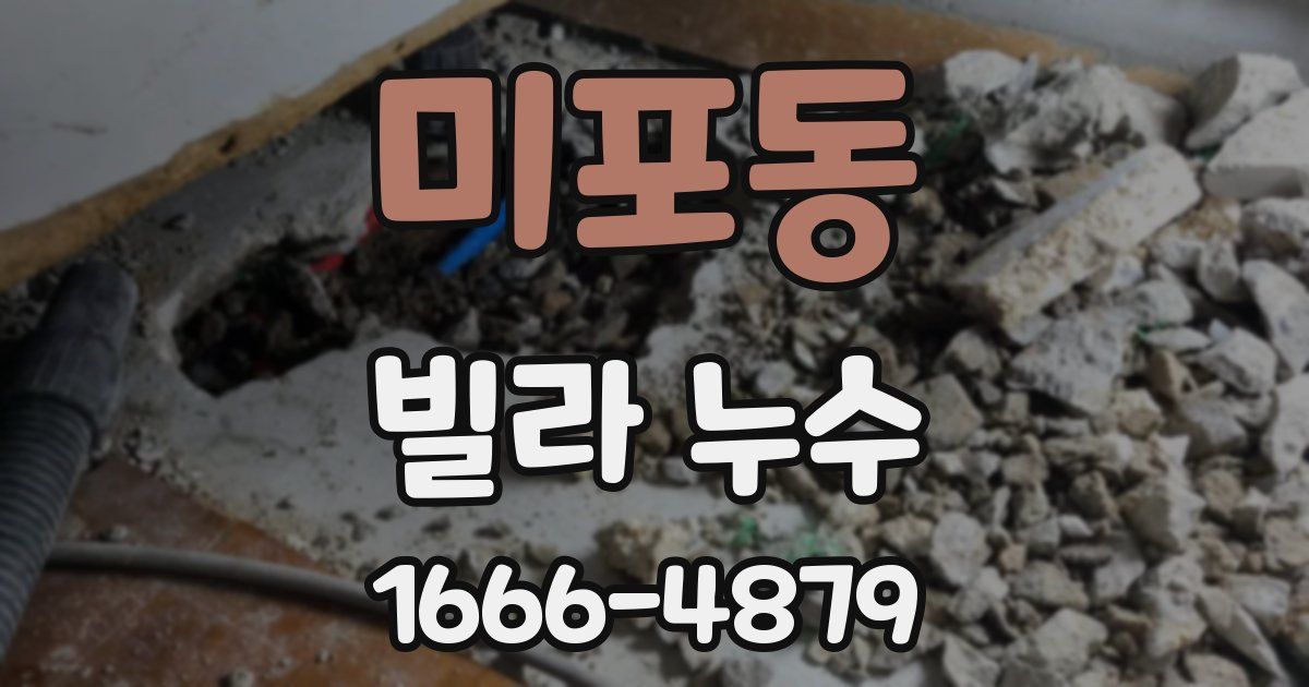미포동 빌라 누수