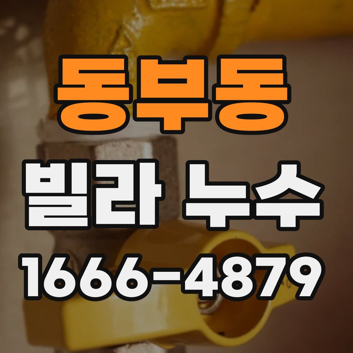 동부동 빌라 누수