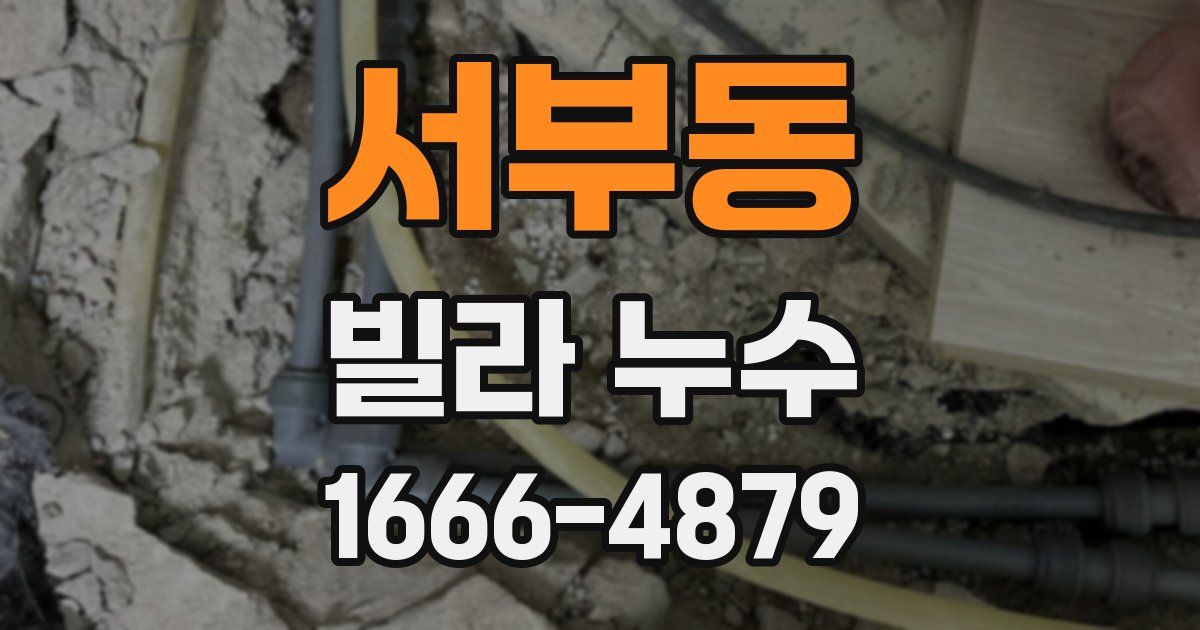서부동 빌라 누수