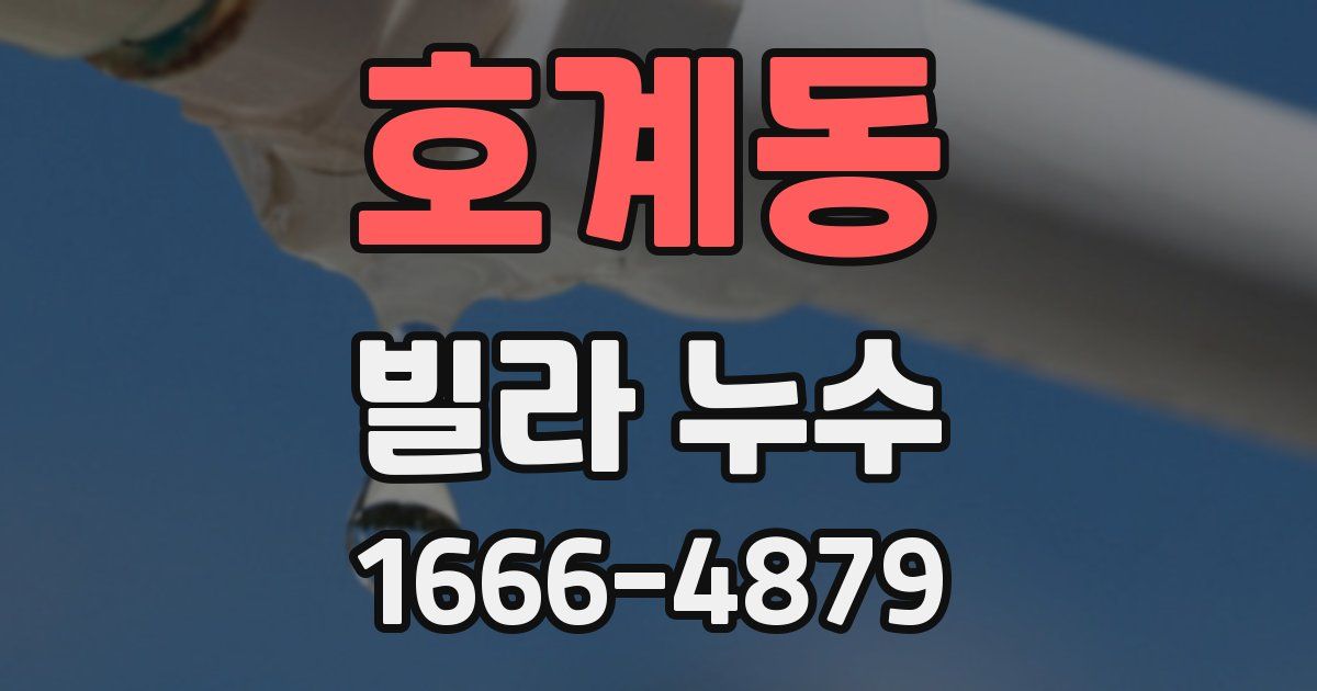 호계동 빌라 누수