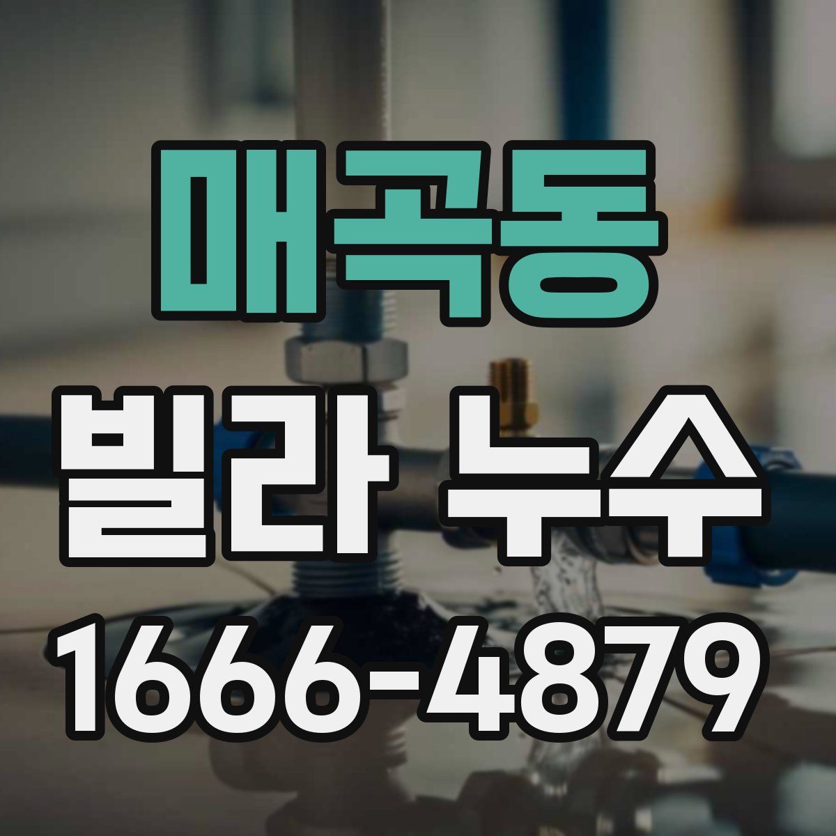 매곡동 빌라 누수