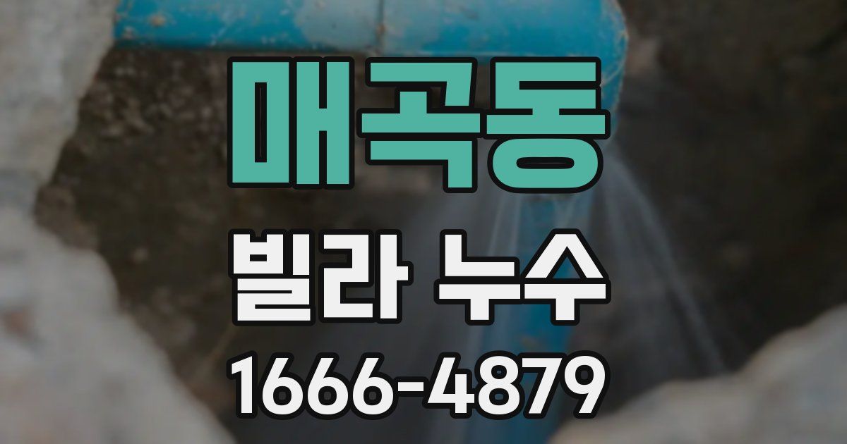 매곡동 빌라 누수