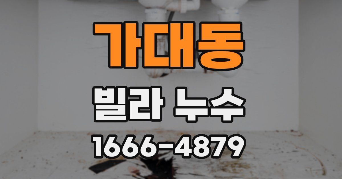 가대동 빌라 누수