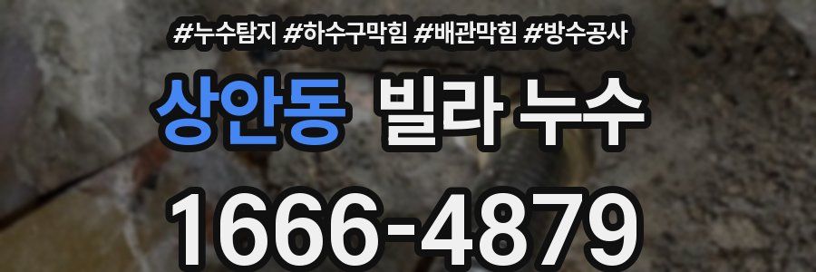 상안동 빌라 누수