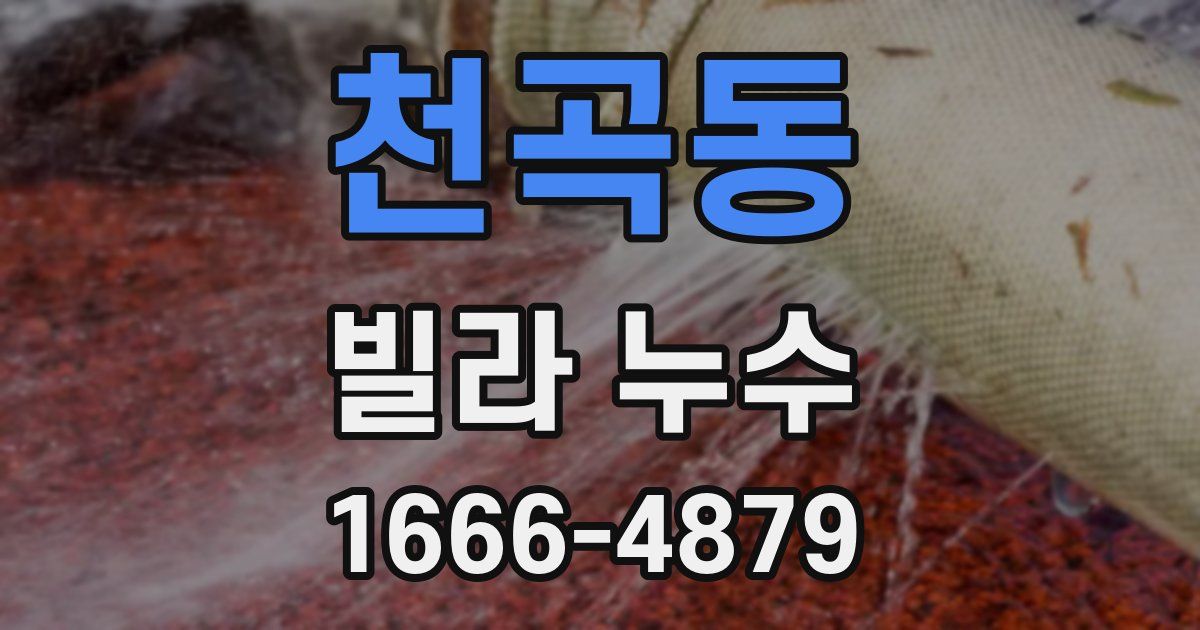 천곡동 빌라 누수