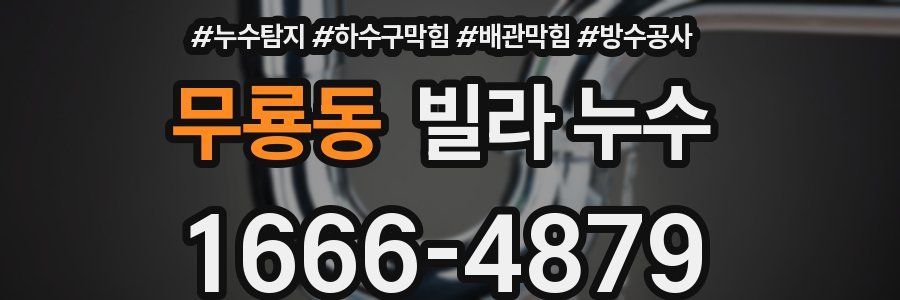 무룡동 빌라 누수