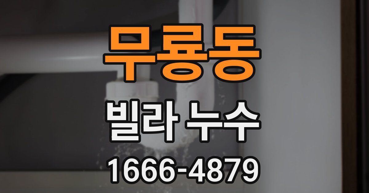 무룡동 빌라 누수