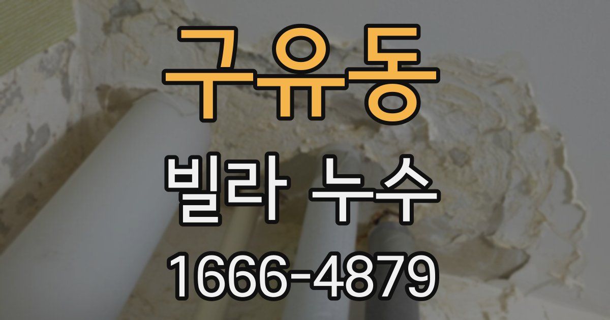 구유동 빌라 누수