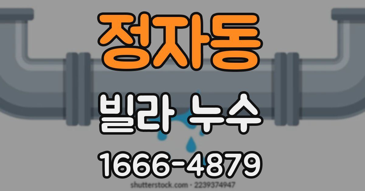 정자동 빌라 누수