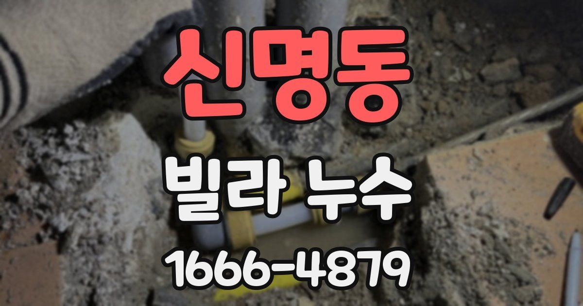 신명동 빌라 누수