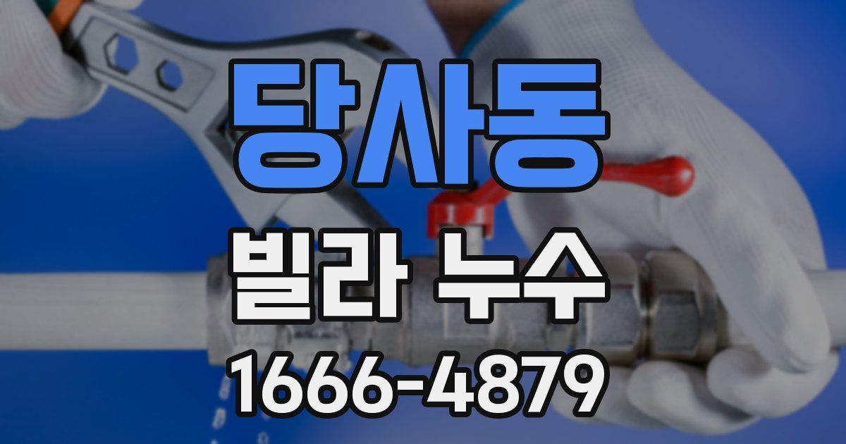 당사동 빌라 누수