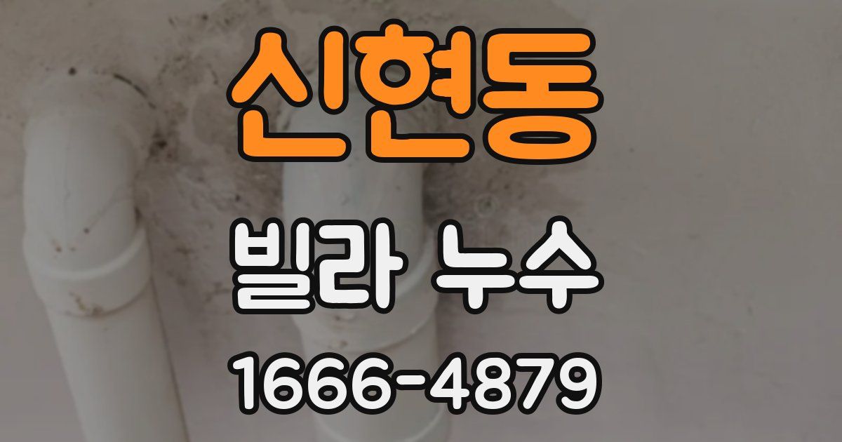신현동 빌라 누수