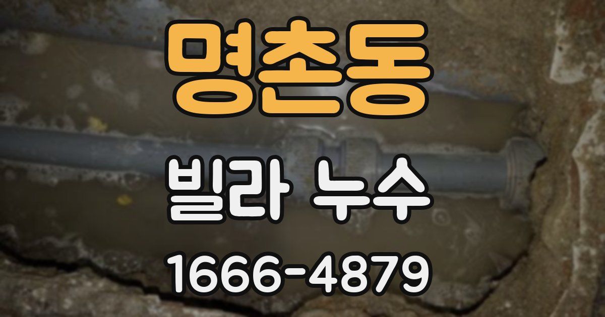 명촌동 빌라 누수