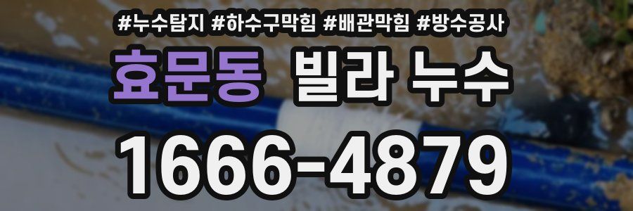 효문동 빌라 누수