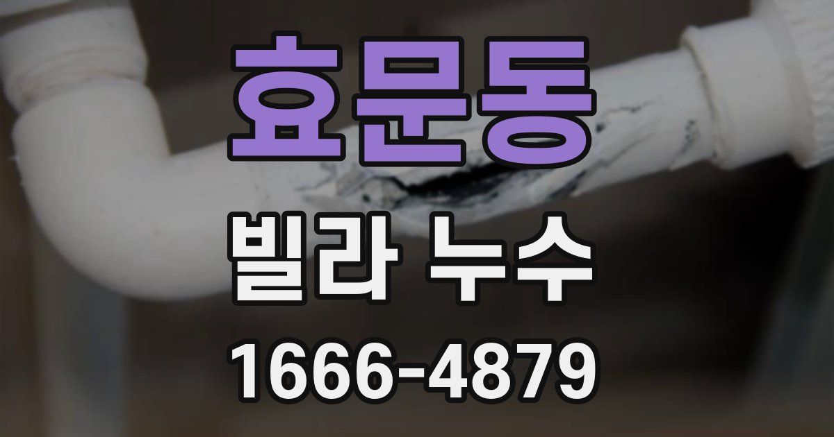 효문동 빌라 누수