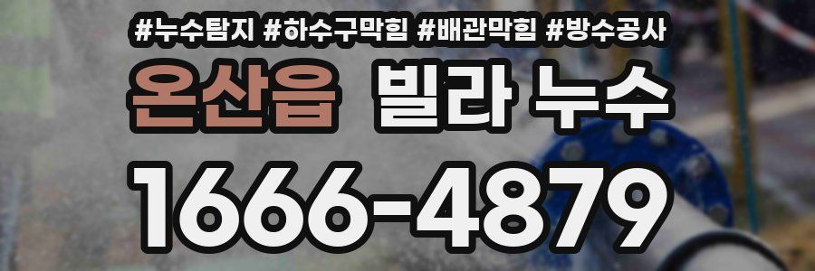 온산읍 빌라 누수
