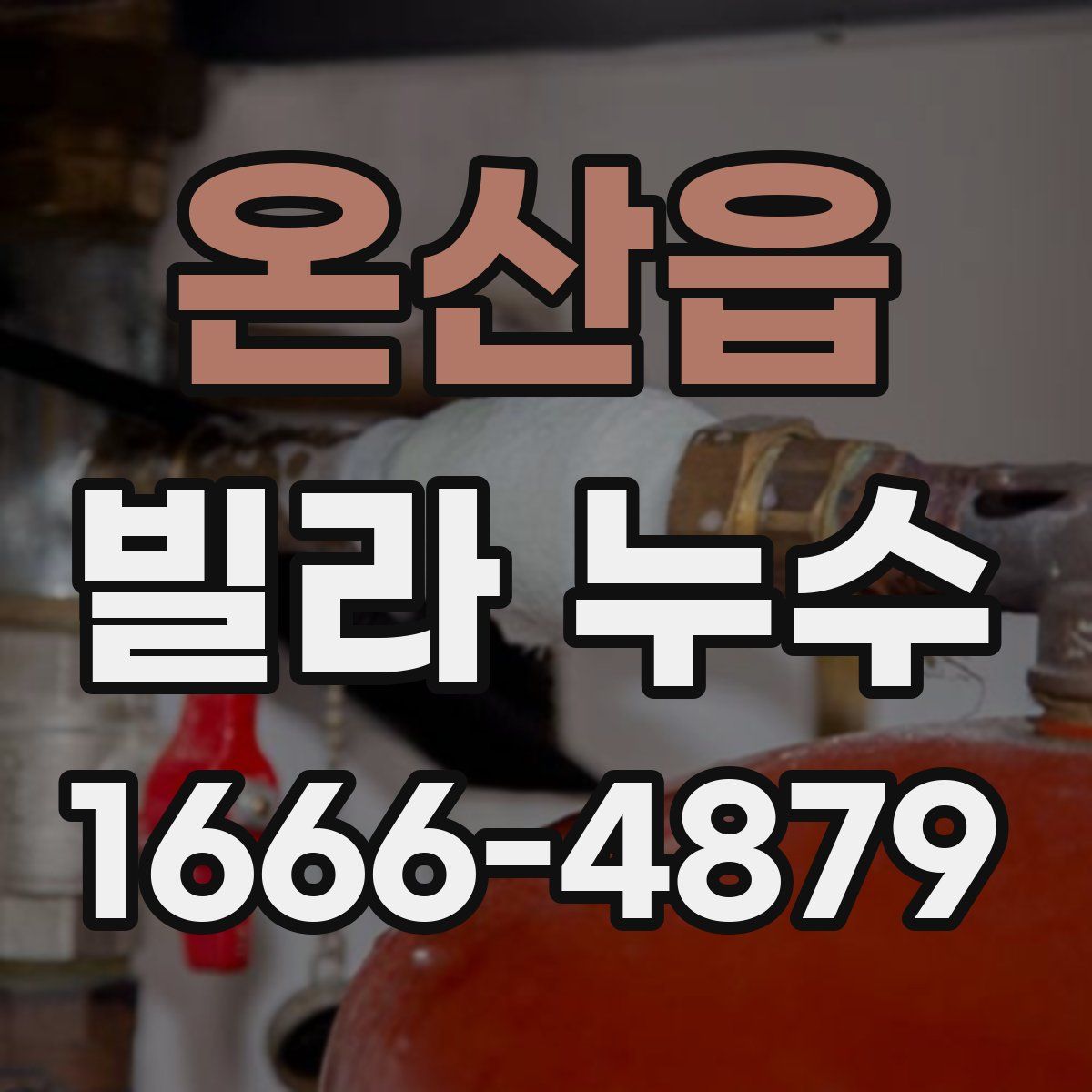온산읍 빌라 누수