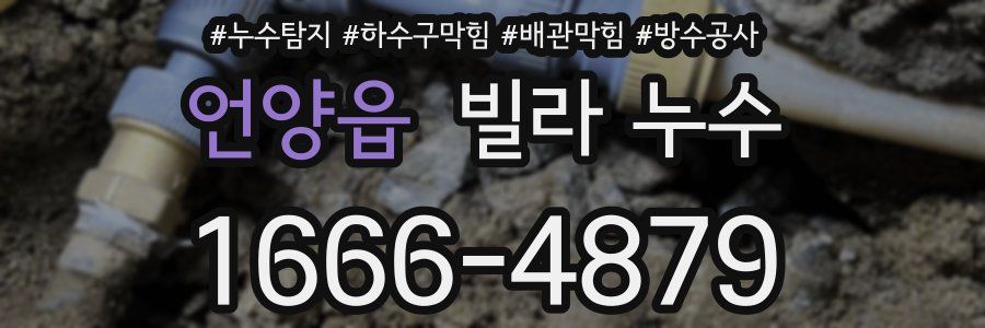 언양읍 빌라 누수