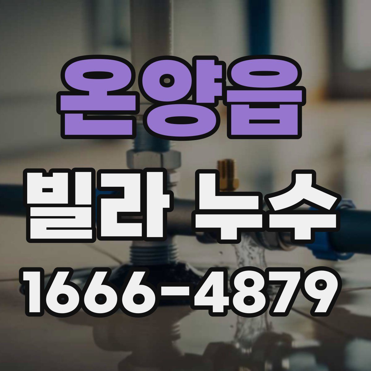 온양읍 빌라 누수