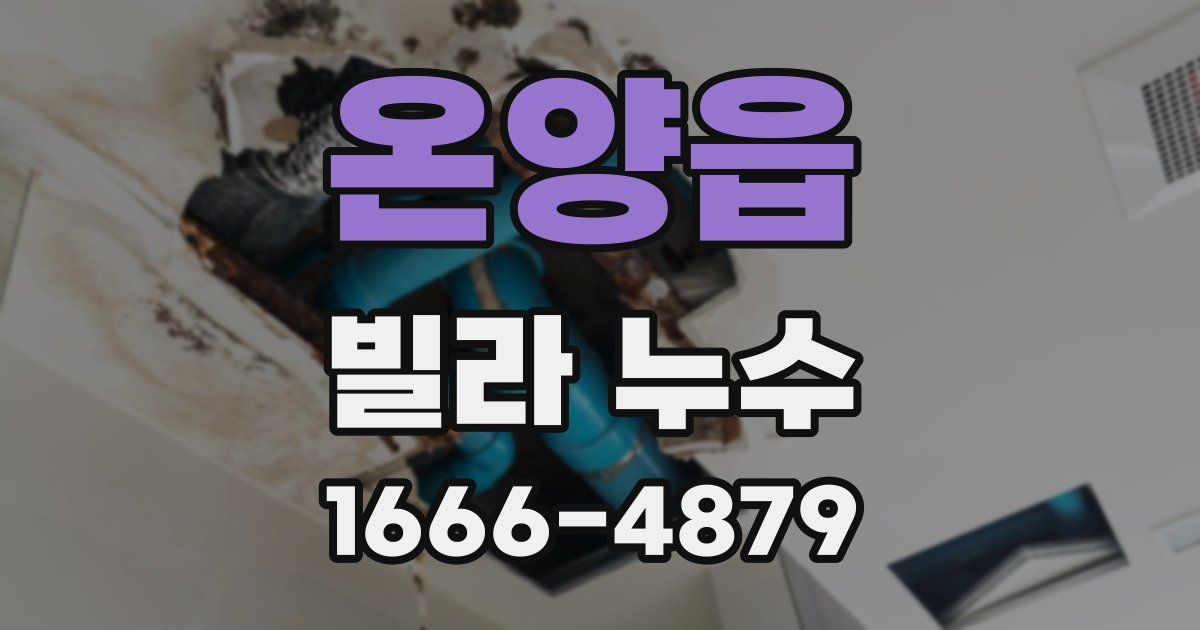 온양읍 빌라 누수