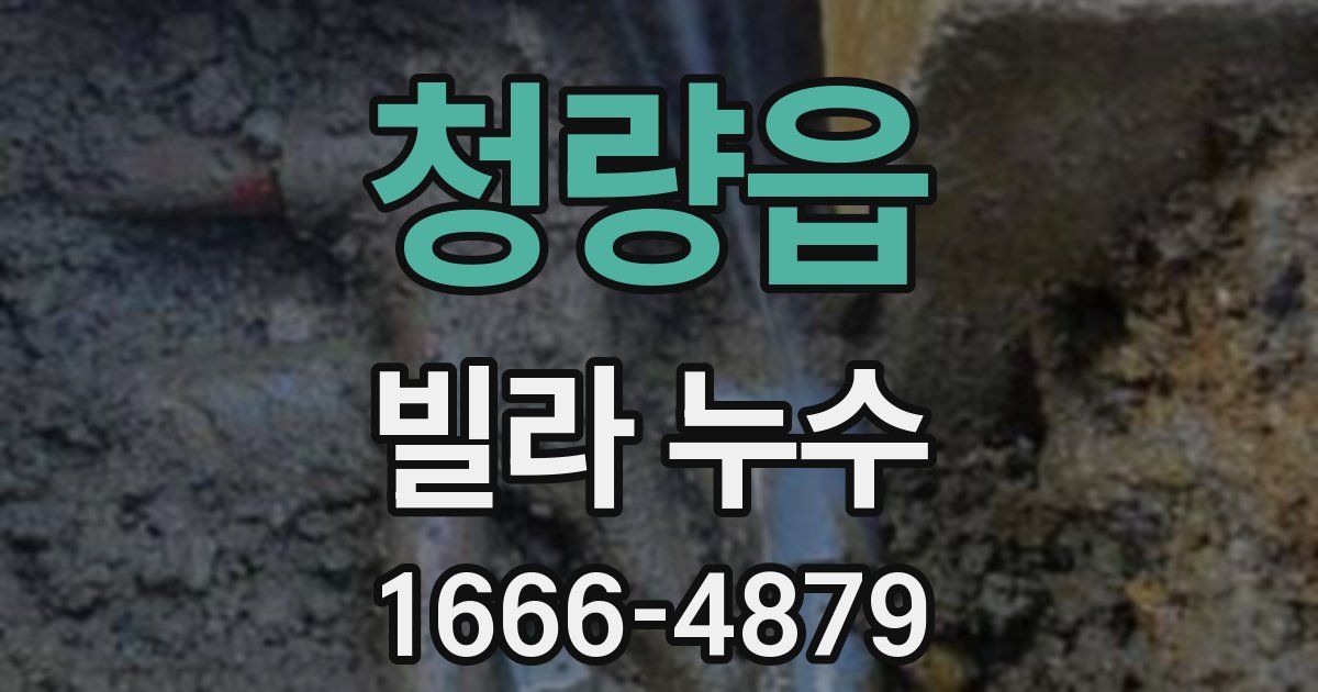 청량읍 빌라 누수