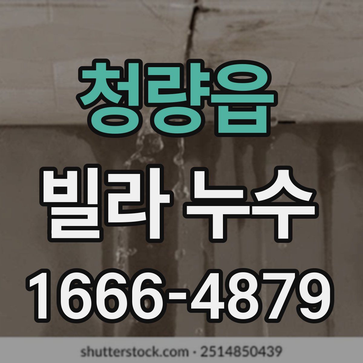 청량읍 빌라 누수