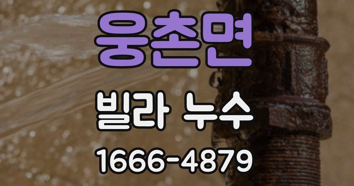 웅촌면 빌라 누수