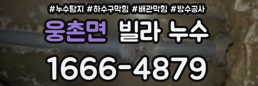 웅촌면 빌라 누수