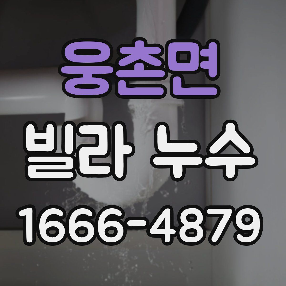 웅촌면 빌라 누수