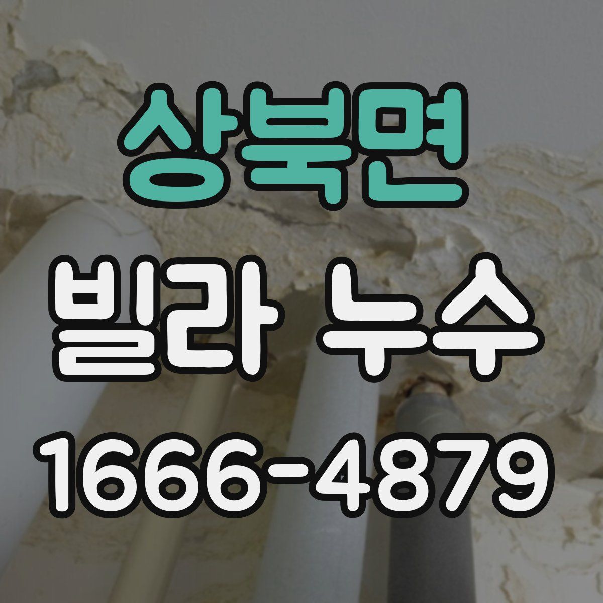 상북면 빌라 누수